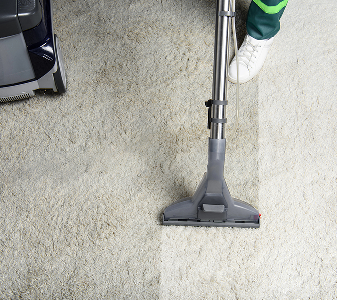 Professional Carpet Cleaning Services in Studio City, CA